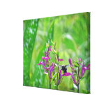 Bumble Bee and Pink Flowers Canvas Print