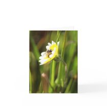 "Bumble Bee", Blank Card