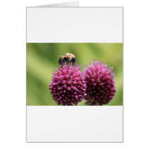 Bumble Bee Blank Card