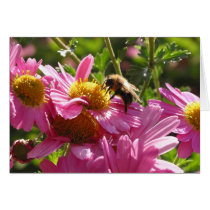Bumble Bee cards