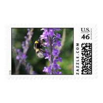 Bumble Bee Collecting Pollen Postage