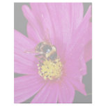 Bumble bee gathering pollen from pink flower  flow letterhead design