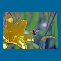 Bumble Bee in Flight posters