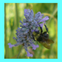 Bumble Bee Oil Painting posters by takenotestationary Bumble Bee Oil Painting posters
