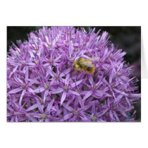 Bumble Bee on Allium cards