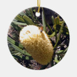 Bumble bee on banksia flower christmas tree ornament