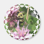 Bumble Bee on Bee Balm Magnet