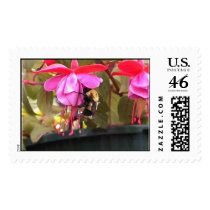 bumble bee on fucshia postage by Eye4birds bumble bee on fucshia postage