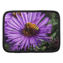 Bumble Bee on Purple Aster Flower Organizers