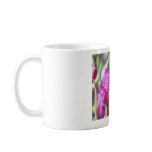 Bumble Bee on Rugosa Rose Coffee Mugs