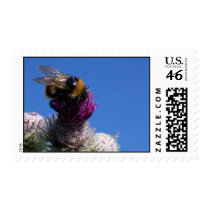 Bumble bee on thistle postage stamps
