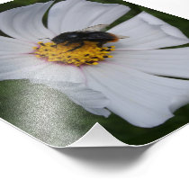 Bumble Bee Photo Print