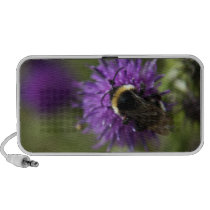 Bumble Bee portable Doodle speaker speakers