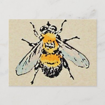 Bumble Bee postcard