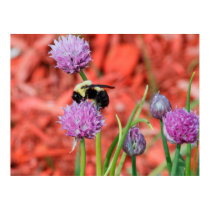 Bumble Bee posters by VermontCardCompany Bumble Bee posters