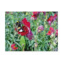 Bumble Bee / Snapdragon Postcard