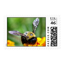 Bumble Bee Stamp by SuRi_Photography Bumble Bee Stamp