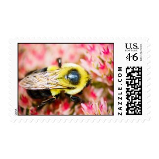 Bumble bee stamps