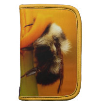 Bumble Bee with Marigold Organizers