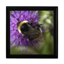 Bumble Bee wooden keepsake jewelry gift box gift boxes