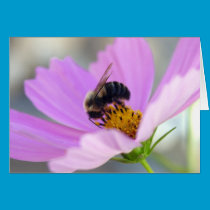 Bumble & Cosmos Card
