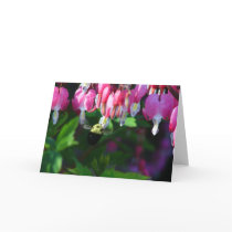 Bumblebee and Bleeding Hearts Greeting Cards