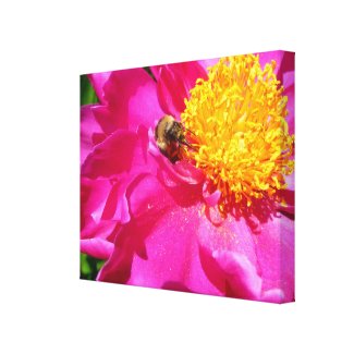 Bumblebee and Peony wrappedcanvas