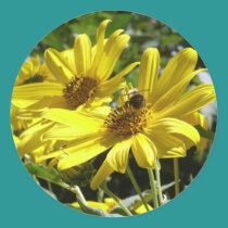 Bumblebee and the Sunflower stickers