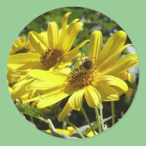 Bumblebee and the Sunflower stickers