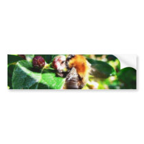 Bumblebee bumper stickers