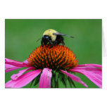 Bumblebee Greeting Card