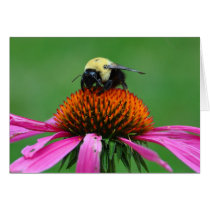 Bumblebee cards by mlikvan Bumblebee cards