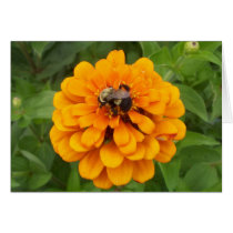 Bumblebee cards