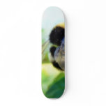 Bumblebee Collecting Polen Skateboards
