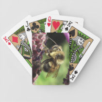 Bumblebee Deck of Cards