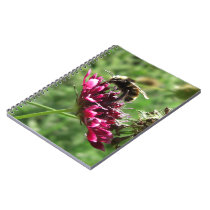 Bumblebee Flower Notebook
