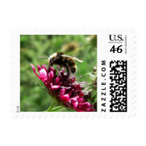 Bumblebee Flower Stamps