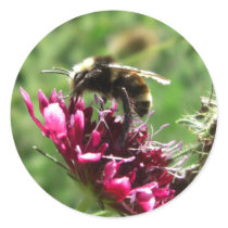 Bumblebee Flower Stickers