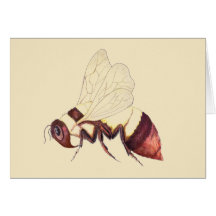 Bumblebee Greeting Card
