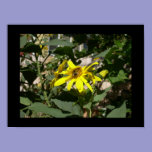 Bumblebee in a sunflower posters