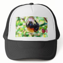 Bumblebee Macro hats