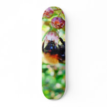 Bumblebee Macro skateboards by lifesphere Bumblebee Macro skateboards