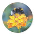 BumbleBee Magnet by pulsDesign BumbleBee Magnet