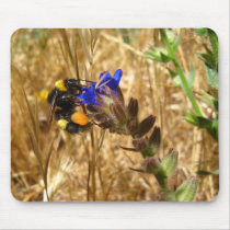 Bumblebee mousepads