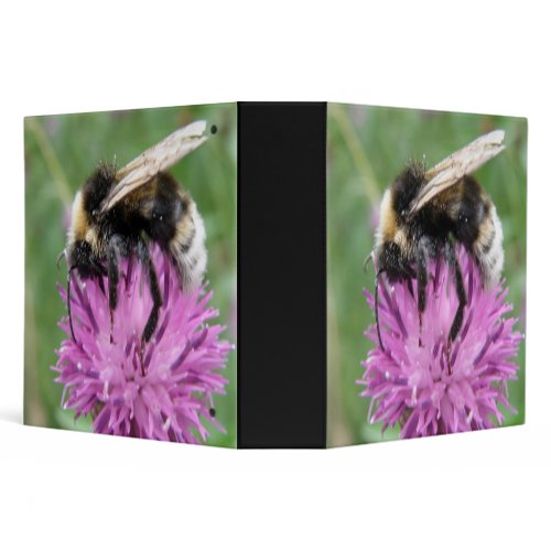 Bumblebee on a Thistle Avery Binder binder