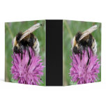 Bumblebee on a Thistle Avery Binder