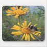 Bumblebee on Balduina Mousepad