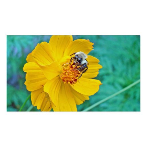 Bumblebee on Cosmos Business Card Template (back side)