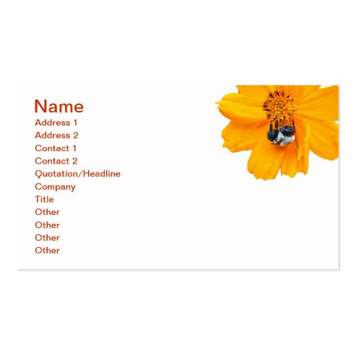 Bumblebee on Cosmos Business Card Template (front side)
