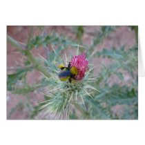 Bumblebee on Thistle Flower cards